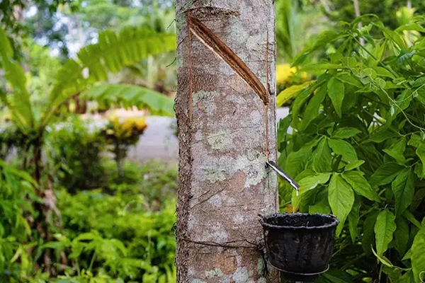 Plastificeren en mengen van rubber